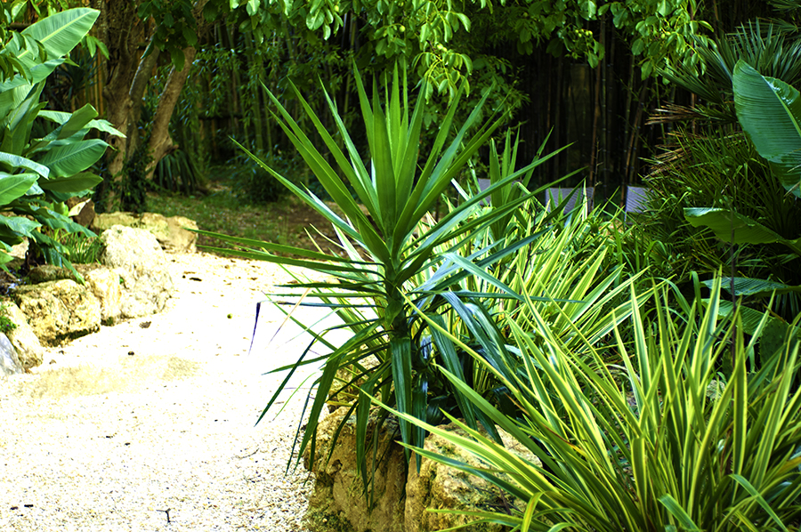 Bambousaie-06-900×598