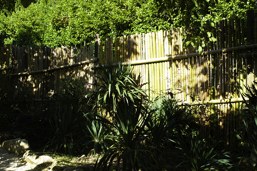 Bambousaie-08-900×598