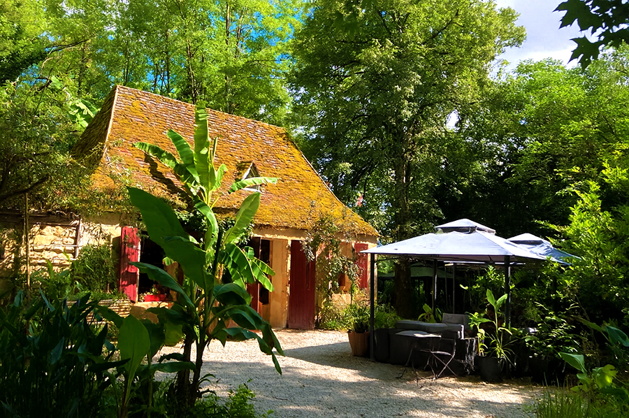 Bambousaie-14-900×598