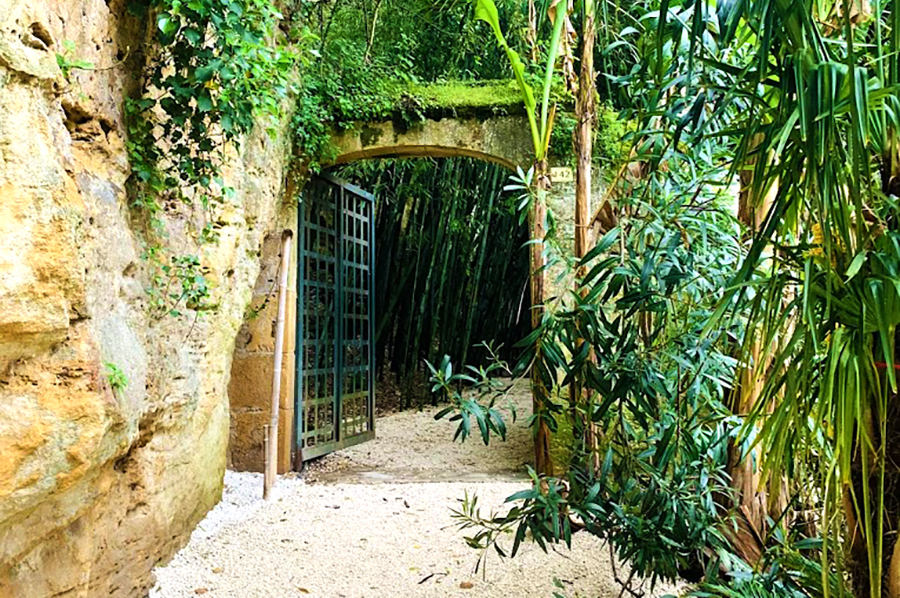 Bambousaie-15-900×598