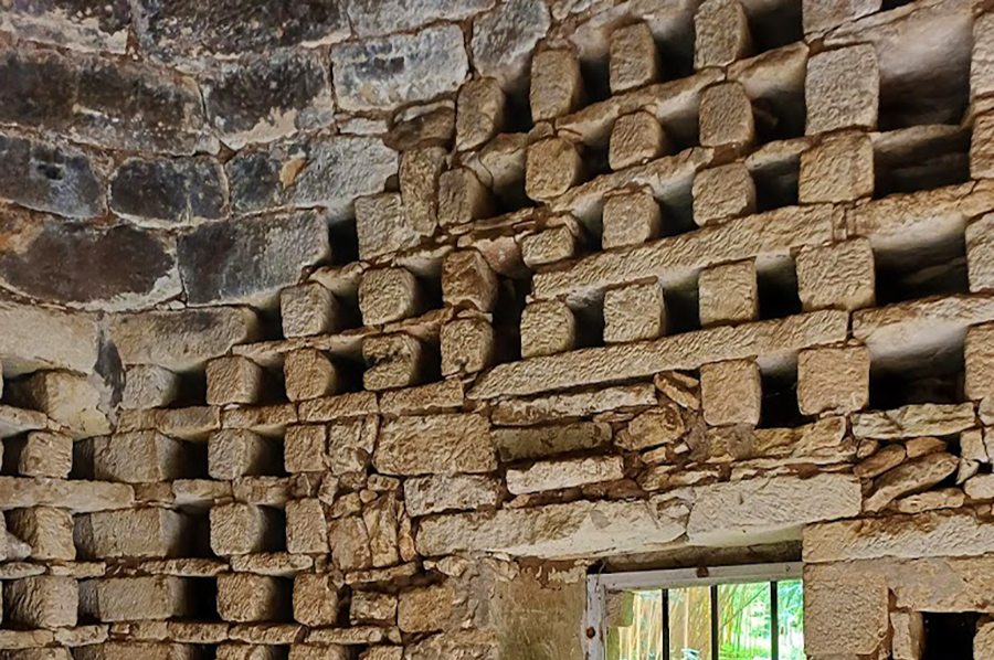 Bambousaie-21-900×598