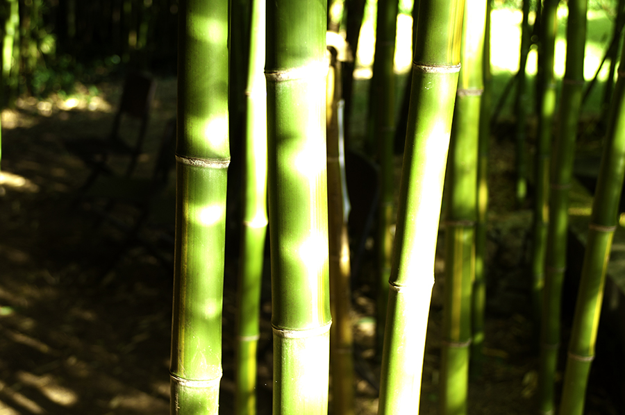 P.Houzea-01-900×598