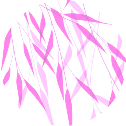 Image is not available