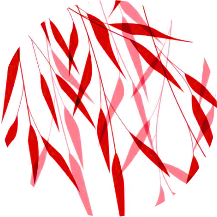 Image is not available