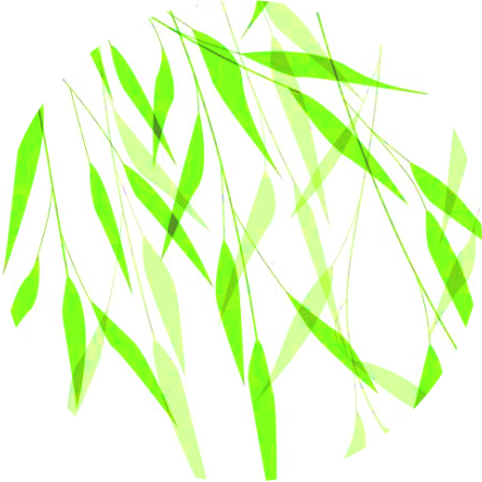 Image is not available